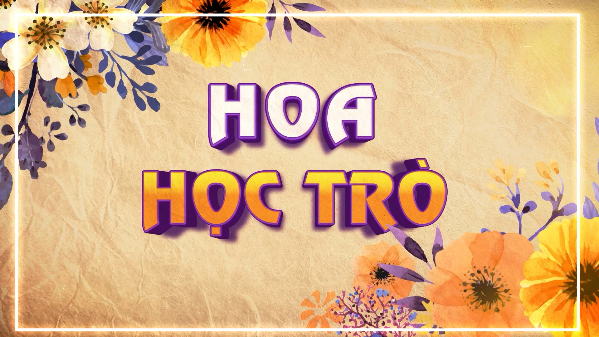 Hoa học trò (19-05-2024)